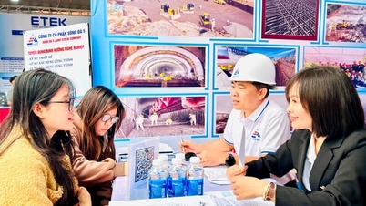 La industria de la construcción está experimentando una escasez de mano de obra: salarios atractivos y abundantes oportunidades.