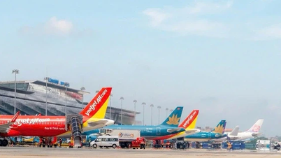 Si los precios del combustible de aviación se triplican, ¿cuánto aumentarán los precios de los billetes de avión?