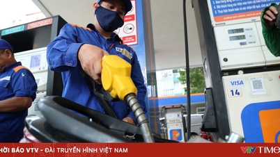 Ministerio de Industria y Comercio: Presentará al Gobierno un plan para estabilizar los precios de la gasolina y el diésel.