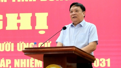 Chủ tịch Đồng Tháp: Tập trung thực hiện 5 nhóm nhiệm vụ đột phá