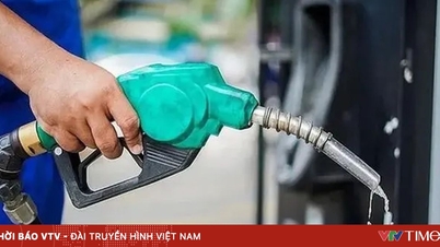 Para ahorrar combustible, el Ministerio de Industria y Comercio anima a las empresas a permitir a sus empleados trabajar de forma remota.