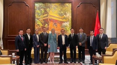 Việt Nam - Australia mở rộng hợp tác khoa học, công nghệ và chuyển đổi số