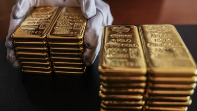 3月10日今日の金価格: 米ドル高と金利上昇期待により下落。