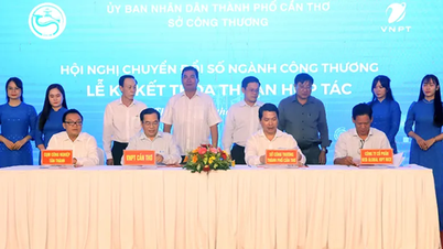 Mendorong pengembangan e-commerce ramah lingkungan.