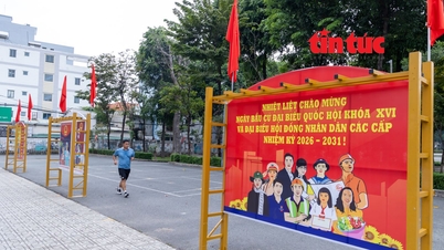 Contribuir a contrarrestar los vientos contrarios