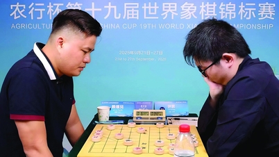 Jogadores de xadrez chineses debatem o risco de serem ultrapassados ​​pelo Vietnã.