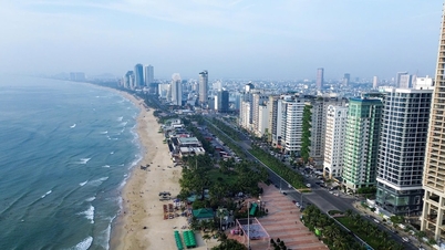 Property identification codes: A step towards greater transparency in the real estate market.
