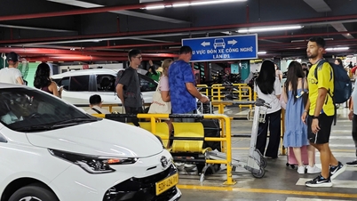 Khawatir dengan fluktuasi harga bahan bakar, perusahaan transportasi sedang mencari cara untuk mengatasinya.