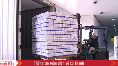 Perniagaan eksport bertindak balas secara proaktif terhadap dasar tarif.