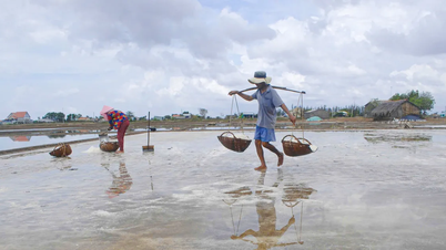 Les pluies hors saison ont causé de graves dommages à la production agricole dans le delta du Mékong.