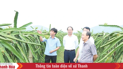 Conseil populaire provincial de Thanh Hoa, 18e mandat : ​​Responsabilité, innovation, professionnalisme et efficacité.