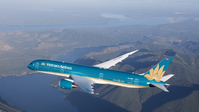 După un an record de profituri, Vietnam Airlines își accelerează investiția de 8,1 miliarde de dolari într-o nouă flotă.