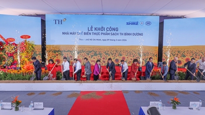 TH Binh Duong Clean Food Processing Plant: Bevordering van de waardeketen van precisielandbouw in Vietnam