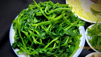 Quanto tempo leva para ferver o espinafre d'água até que esteja completamente cozido, e como posso mantê-lo verde e saboroso?