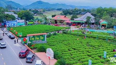 Développement touristique de la région de Viet Bac.