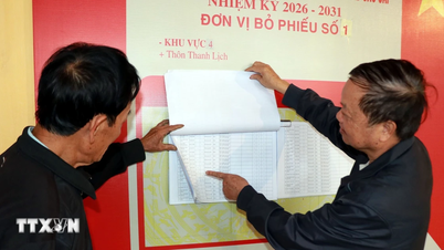 Ninh Binh: Väljarnas proaktiva och ansvarsfulla deltagande bidrar till att skapa social konsensus.