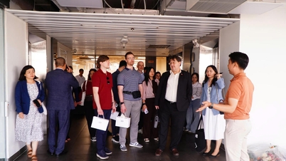 Veel buitenlandse startups tonen interesse in het innovatieklimaat in Ho Chi Minh-stad.