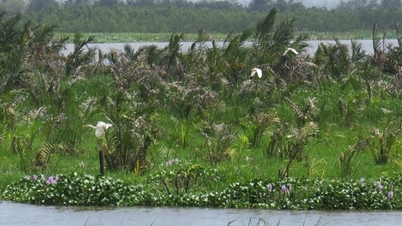 সং ড্যাম লেকের বাস্তুতন্ত্র সংরক্ষণ এবং প্রচার।