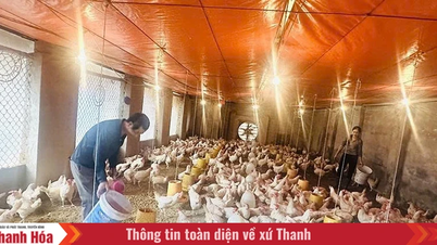 បណ្តាញផ្តល់ប្រាក់កម្ចីដ៏មានប្រសិទ្ធភាពមួយ ដើម្បីគាំទ្រដល់ផលិតកម្មនៅតំបន់ជនបទ។
