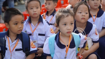 Dwie grupy priorytetowe w procesie rekrutacji do klas 1 i 6 w szkole Nam Saigon w Ho Chi Minh City.