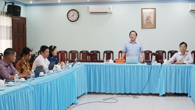 Reviewing progress and resolving difficulties for the Nexif Energy Ben Tre Wind Power Plant Project.