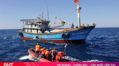 A Comissão Europeia iniciou sua quinta inspeção no Vietnã sobre o combate à pesca ilegal, não declarada e não regulamentada (IUU).