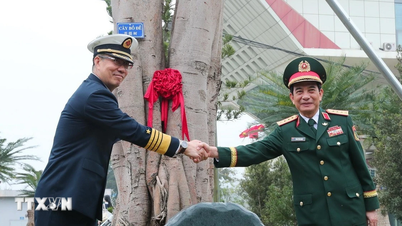 Innovando el Programa de Intercambio Amistoso para la Defensa Fronteriza entre Vietnam y China