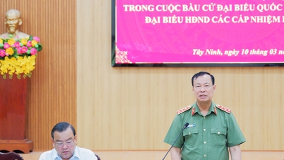 ត្រួតពិនិត្យ និងត្រួតពិនិត្យការងារធានាសន្តិសុខ សណ្តាប់ធ្នាប់ និងសុវត្ថិភាពសង្គមសម្រាប់ការបោះឆ្នោតនៅខេត្តតៃនិញ។