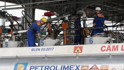 Activarea diverselor soluții pentru controlul prețurilor la benzină și motorină.