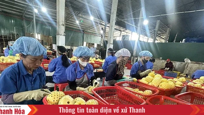ការរំពឹងទុកនេះគឺដើម្បីបង្កើតកម្លាំងចលករបន្ថែមទៀតដើម្បីគាំទ្រដល់គំរូជីវភាពរស់នៅ។