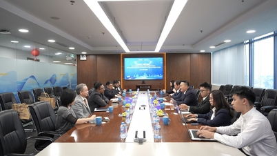 VIMCとインドのパートナーは、港湾・物流分野での協力の機会について話し合った。
