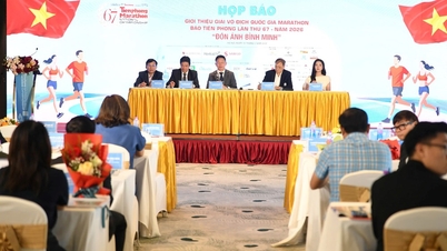 Dàn sao của điền kinh Việt Nam dự Tiền Phong Marathon