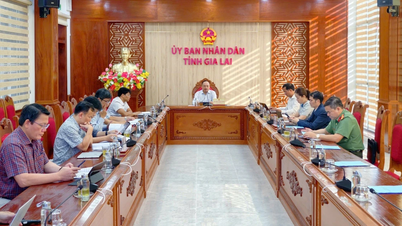 Gia Lai mengembangkan rencana pengembangan perikanan berkelanjutan untuk periode 2026-2030.