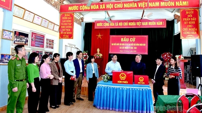 Ma The Hong, vicesecretaris van het provinciale partijcomité en voorzitter van het comité van het Vietnamese Vaderlandsfront in de provincie, zei: "De gemeenten hebben alle voorwaarden zorgvuldig voorbereid om ervoor te zorgen dat de verkiezingsdag succesvol verloopt."