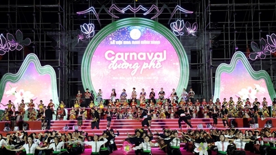 Hampir 2,900 orang menyertai karnival jalanan di tengah-tengah bunga bauhinia yang mekar meriah.