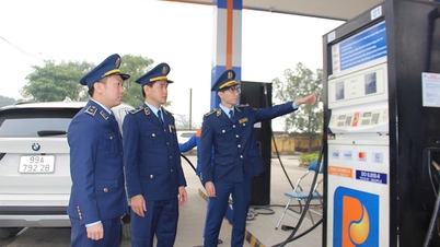 בק נין שולטת באופן יזום בשוק הנפט לנוכח תנודות באספקה.