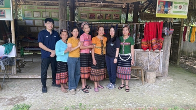 Voluntários japoneses ajudam a preservar a identidade cultural tailandesa em meio às vastas florestas da província de Nghe An.