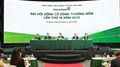 Bank Shareholders' Meeting Season: The race for charter capital will become increasingly intense.