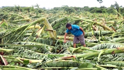 Tháo gỡ rào cản để phát triển bảo hiểm nông nghiệp