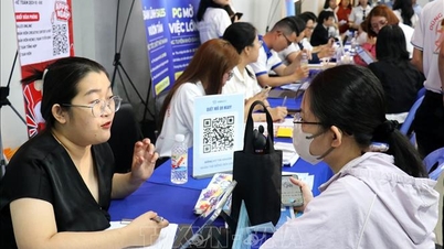 Ciudad Ho Chi Minh: La demanda de contratación es muy alta.