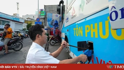 Les entreprises de transport et les pêcheurs s'adaptent pour surmonter les difficultés liées à la hausse des prix du carburant.