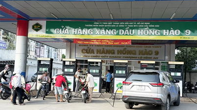 ខេត្ត​កាន់ថូ​ចេញ​វិធានការ​ដើម្បីធានា​ការផ្គត់ផ្គង់​ប្រេងឥន្ធនៈ។