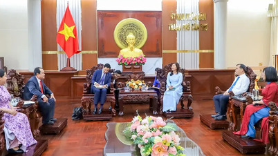 Les dirigeants de la ville de Can Tho reçoivent le consul général de France à Hô Chi Minh-Ville.