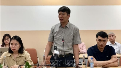 ຄວາມໂປ່ງໃສຂອງຂໍ້ມູນຊ່ວຍຫຼີກເວັ້ນຄວາມສ່ຽງທີ່ກ່ຽວຂ້ອງກັບການກັກຕຸນນ້ຳມັນແອັດຊັງ, ນ້ຳມັນກາຊວນ ແລະ ນ້ຳມັນແອັດຊັງໂດຍປະຊາຊົນ.