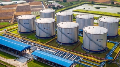 ¿De dónde importa Vietnam su petróleo?