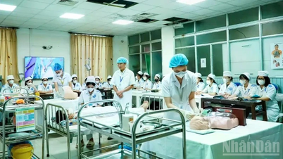 Thai Binh University of Medicine and Pharmacy announces the number of students to be admitted, admission methods, and subject combinations for the 2026 academic year.