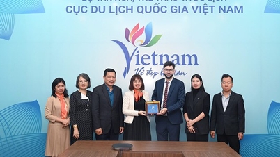 La République tchèque souhaite soutenir la mise en œuvre de solutions pour le développement du tourisme de randonnée au Vietnam.