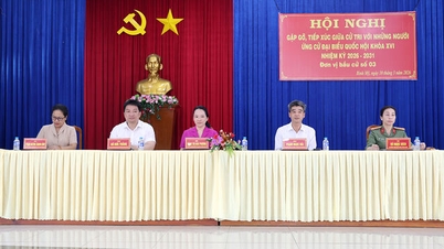 Kandydaci na przedstawicieli Zgromadzenia Narodowego spotkali się z wyborcami w gminach Binh My, Chau Phu, Vinh Gia i O Lam.