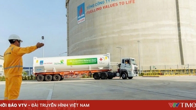 Proposal to halt crude oil exports and increase biofuel production to ensure domestic fuel supply.