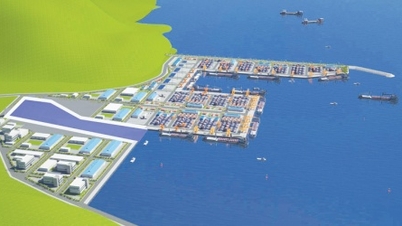 De resultaten van de investeerdersselectie voor het containerhavenproject Lien Chieu in maart 2026 goedkeuren.